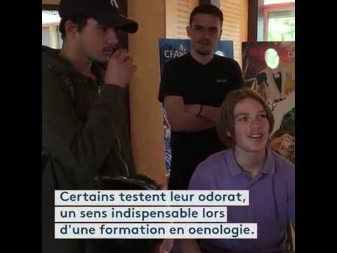 Dijon : les jeunes découvrent les métiers de l’artisanat grâce à des ateliers