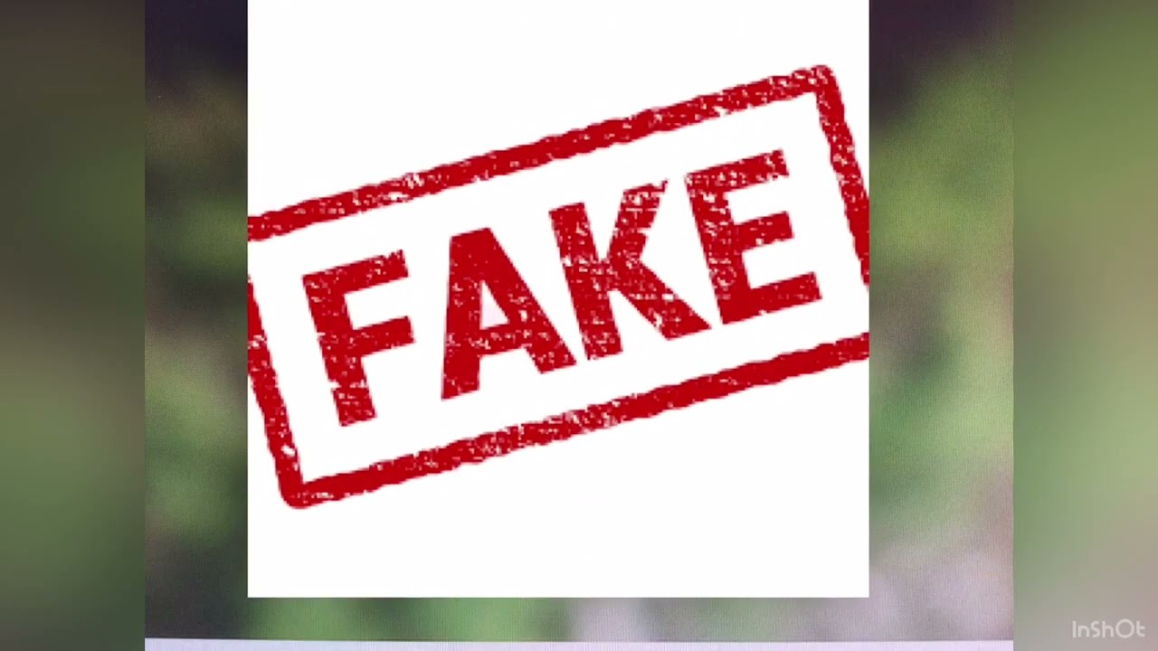 Proposer un atelier d’éducation aux médias et à l’information