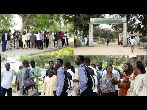 UASZ : les enseignants vacataires tirent la sonnette d'alarme et exigent le payement....