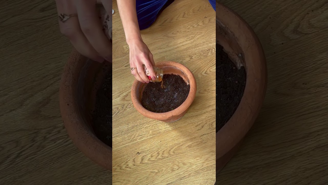 Comment multiplier son argent avec un seul billet