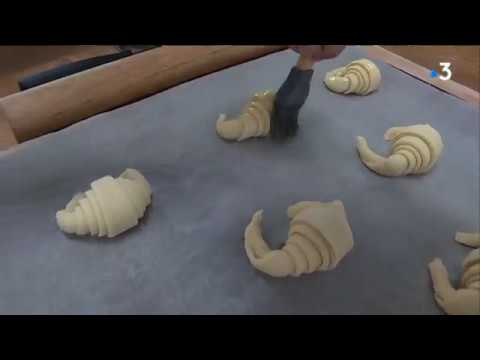 Les jeunes apprentis de la Vienne ont brillé aux olympiades des métiers