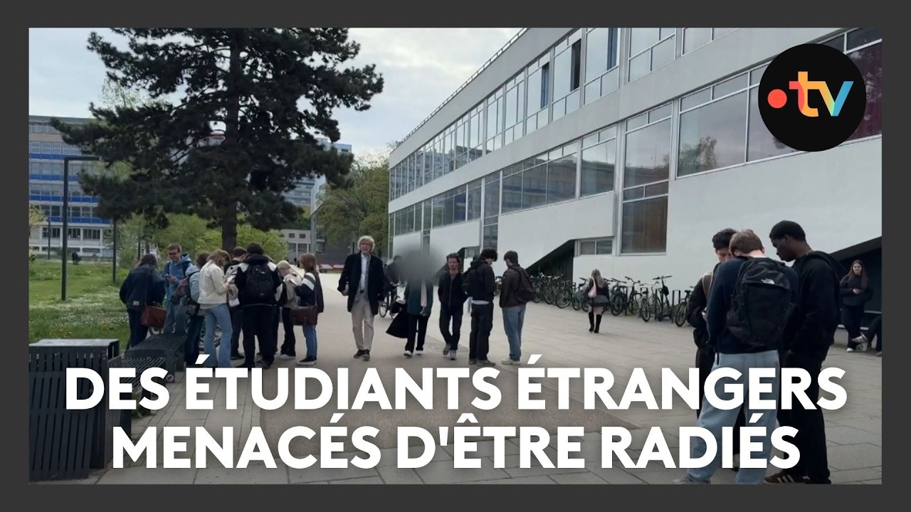 Université de Strasbourg : des étudiants étrangers menacés d'être radiés