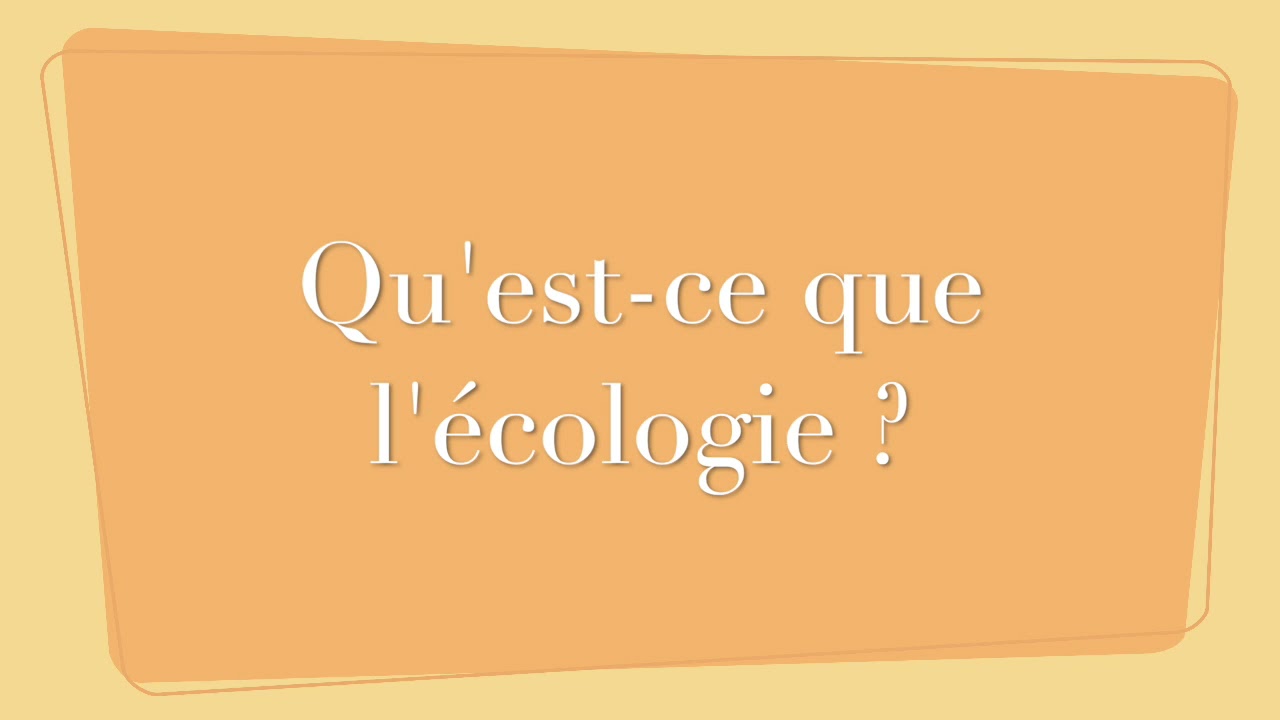 Qu'est-ce que l'écologie ?